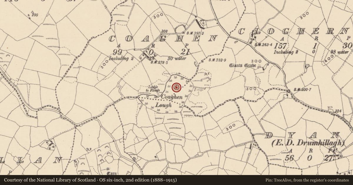 Ordnance Survey six-inch map, 2nd edition (1888–1915) covering the location of Crannog, Coaghen, County Monaghan, with a pin at the register's coordinates
