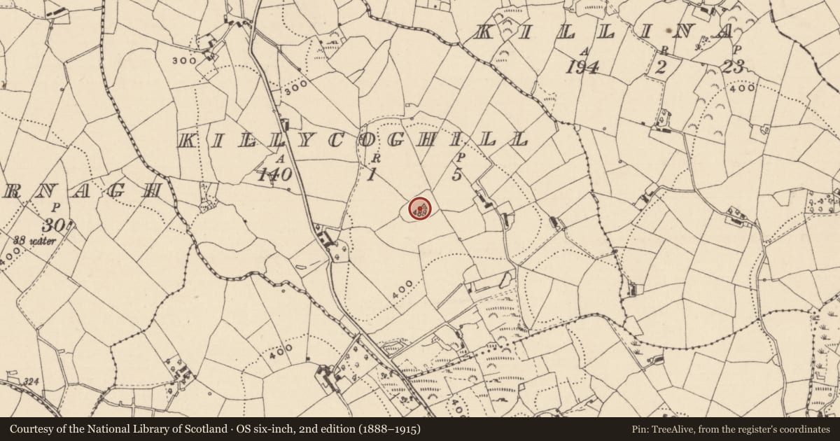 Ordnance Survey six-inch map, 2nd edition (1888–1915) covering the location of Enclosure - large enclosure, Killycoghill, County Monaghan, with a pin at the register's coordinates
