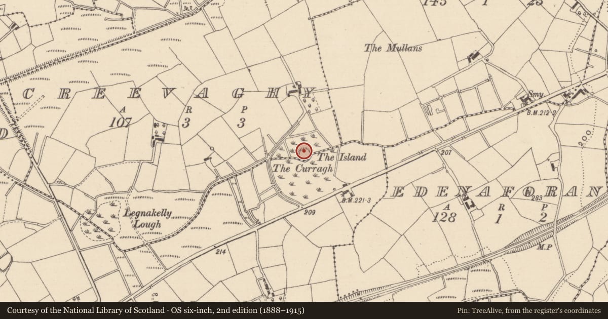 Ordnance Survey six-inch map, 2nd edition (1888–1915) covering the location of Crannog, Creevaghy, County Monaghan, with a pin at the register's coordinates