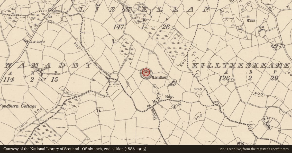 Ordnance Survey six-inch map, 2nd edition (1888–1915) covering the location of Ringfort - rath, Listellan, County Monaghan, with a pin at the register's coordinates