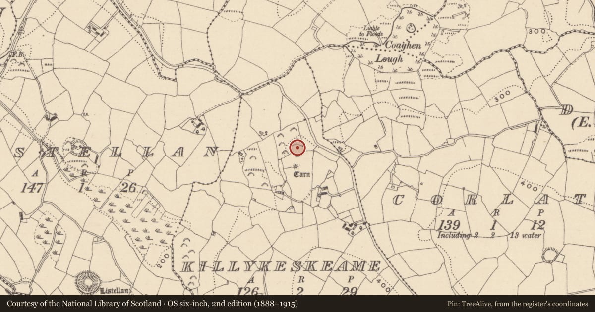Ordnance Survey six-inch map, 2nd edition (1888–1915) covering the location of Ringfort - rath, Killykeskeame, County Monaghan, with a pin at the register's coordinates