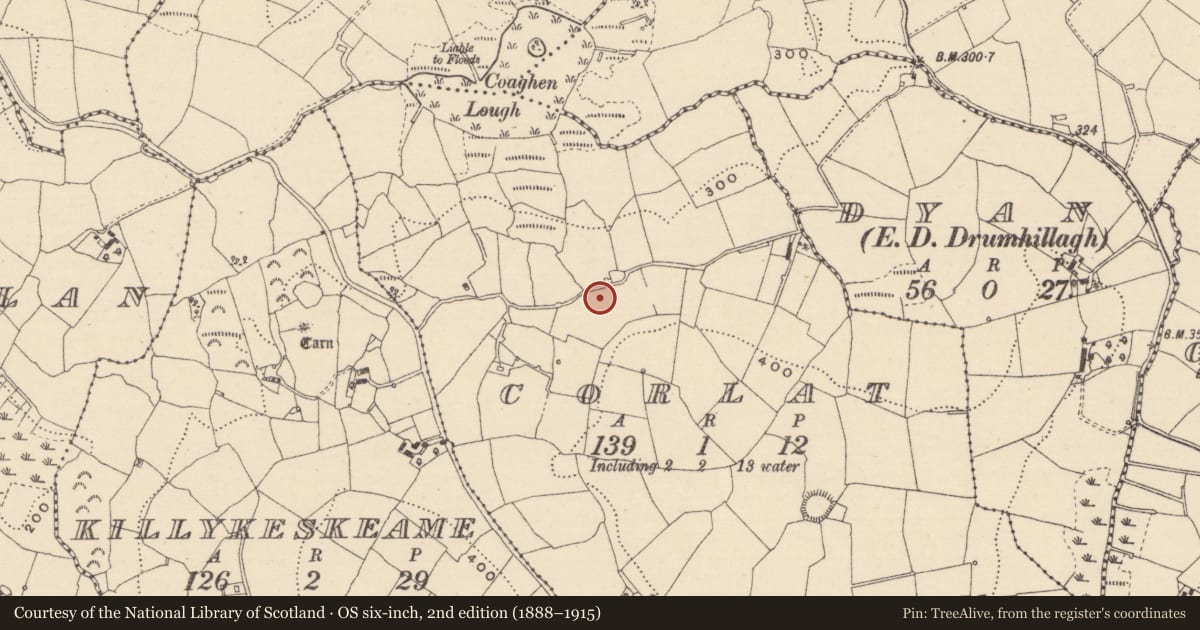 Ordnance Survey six-inch map, 2nd edition (1888–1915) covering the location of Standing stone, Corlat, County Monaghan, with a pin at the register's coordinates