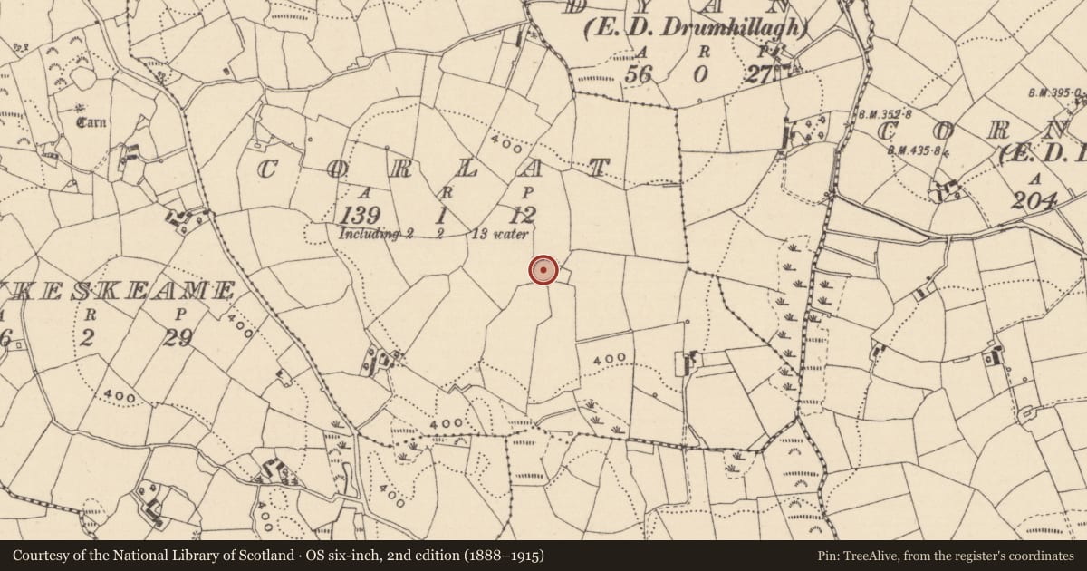 Ordnance Survey six-inch map, 2nd edition (1888–1915) covering the location of Ringfort - rath, Corlat, County Monaghan, with a pin at the register's coordinates