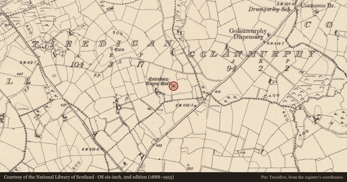 Ordnance Survey six-inch map, 2nd edition (1888–1915) covering the location of Megalithic tomb - court tomb, Tiredigan, County Monaghan, with a pin at the register's coordinates