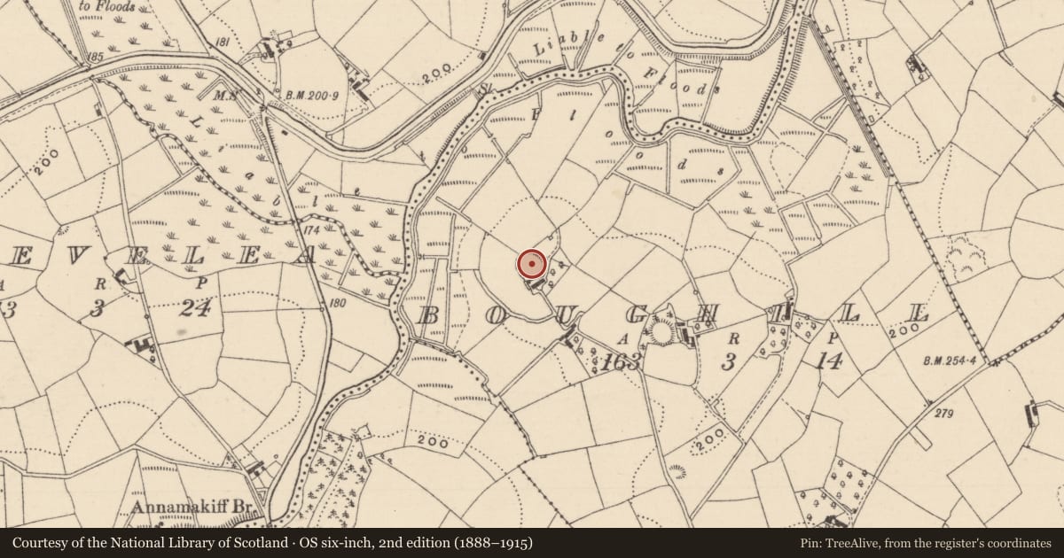 Ordnance Survey six-inch map, 2nd edition (1888–1915) covering the location of Ringfort - rath, Boughill, County Monaghan, with a pin at the register's coordinates