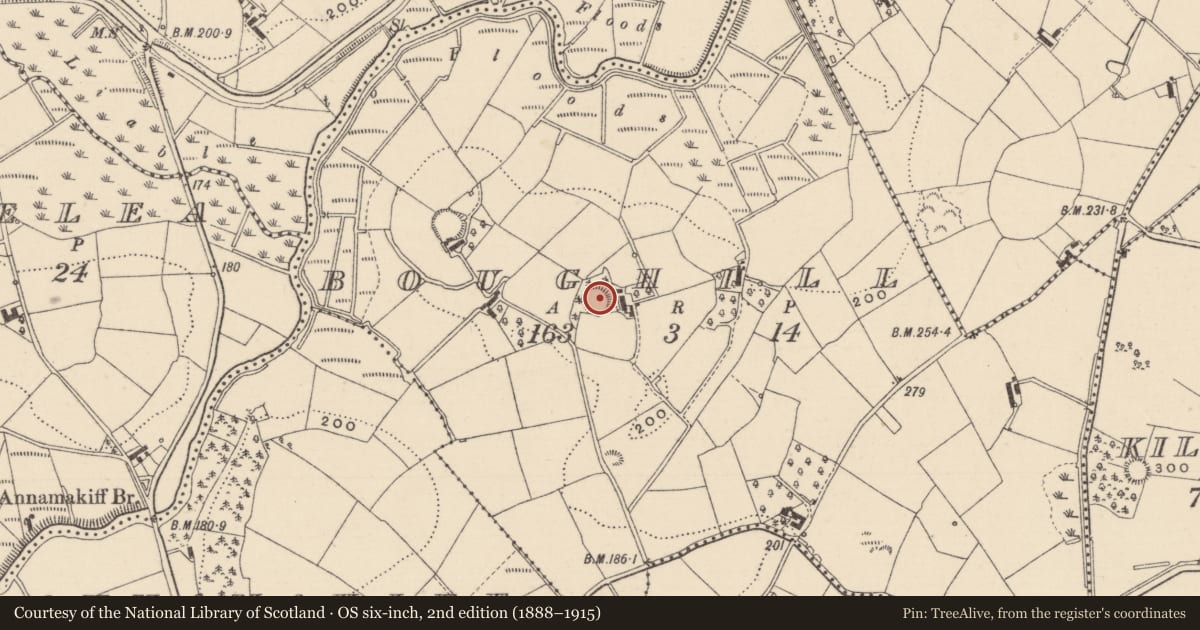 Ordnance Survey six-inch map, 2nd edition (1888–1915) covering the location of Ringfort - rath, Boughill, County Monaghan, with a pin at the register's coordinates