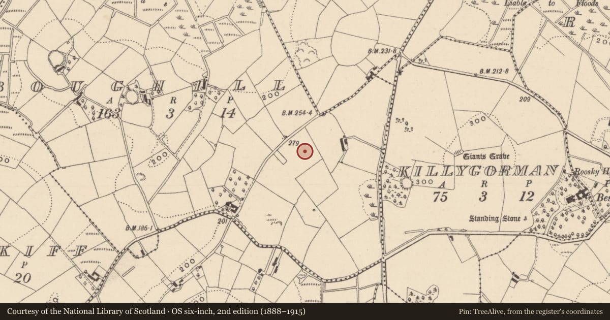 Ordnance Survey six-inch map, 2nd edition (1888–1915) covering the location of Ringfort - rath, Boughill, County Monaghan, with a pin at the register's coordinates