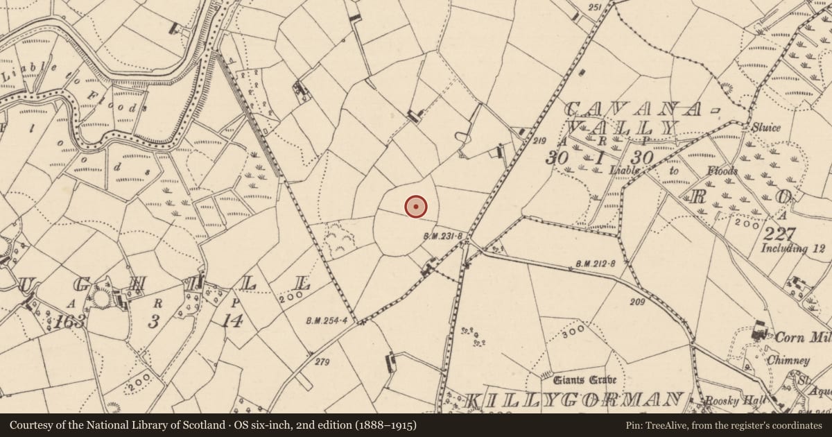 Ordnance Survey six-inch map, 2nd edition (1888–1915) covering the location of Ringfort - rath, Conaghy, County Monaghan, with a pin at the register's coordinates