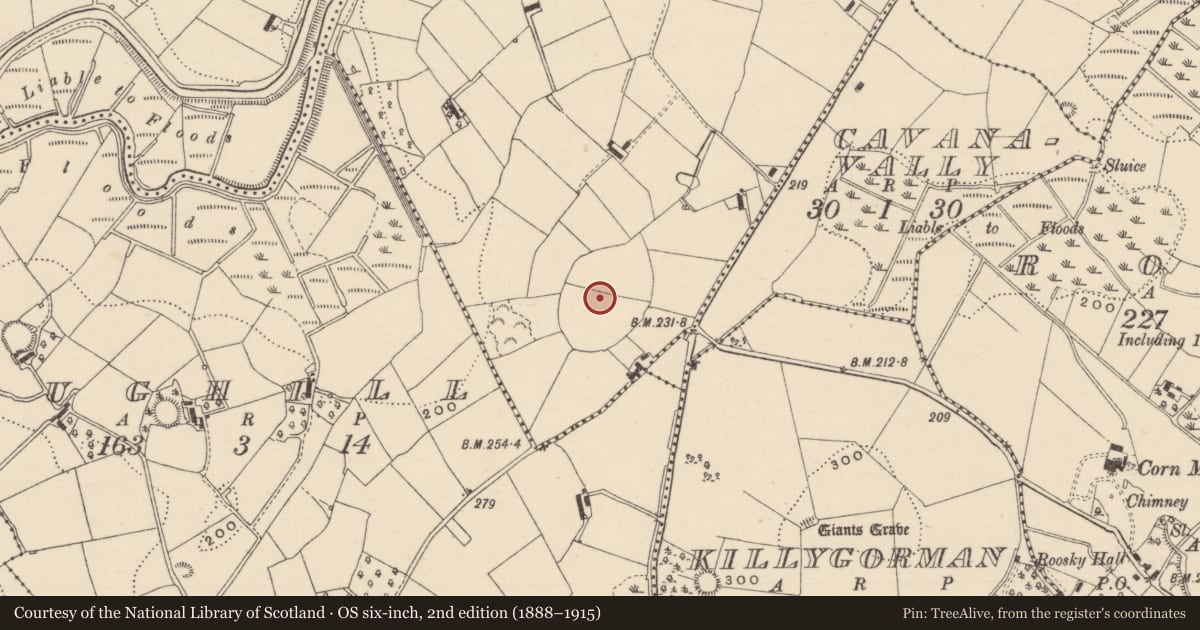 Ordnance Survey six-inch map, 2nd edition (1888–1915) covering the location of Castle - unclassified, Conaghy, County Monaghan, with a pin at the register's coordinates