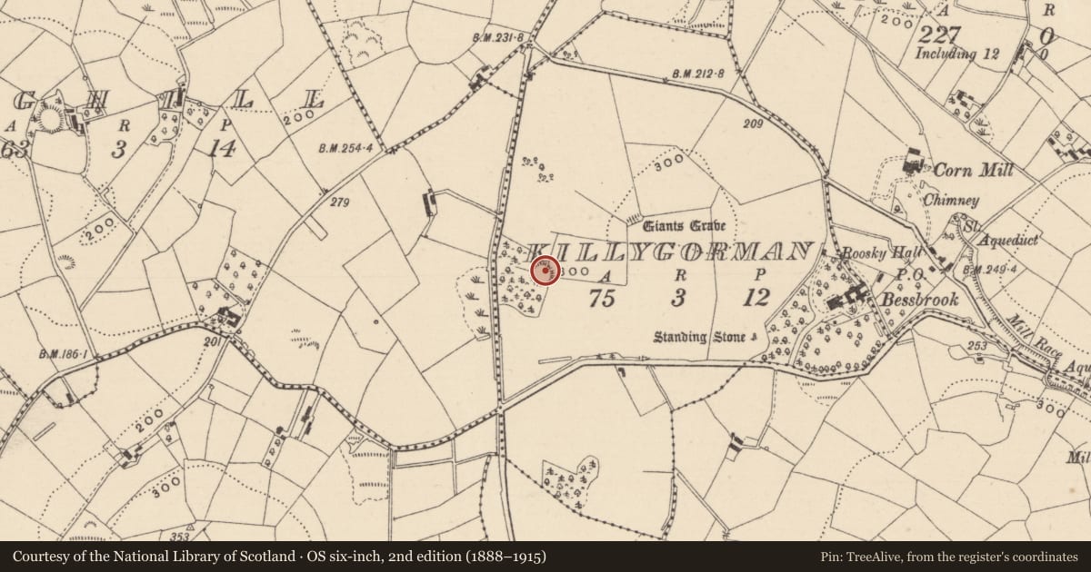 Ordnance Survey six-inch map, 2nd edition (1888–1915) covering the location of Ringfort - rath, Killygorman, County Monaghan, with a pin at the register's coordinates
