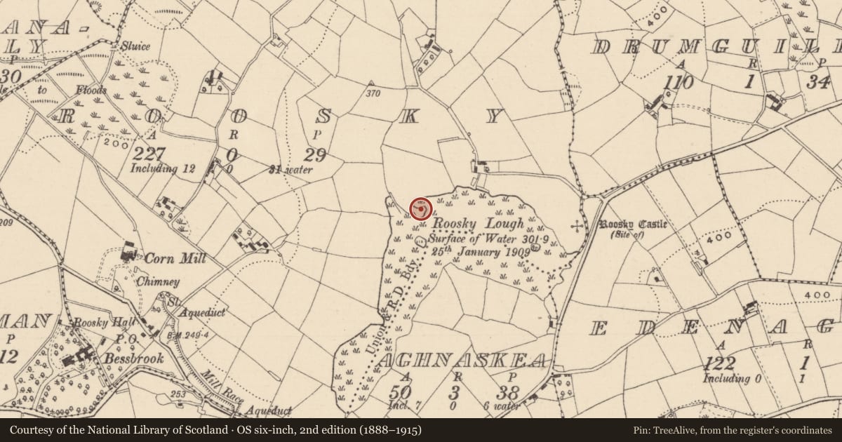 Ordnance Survey six-inch map, 2nd edition (1888–1915) covering the location of Crannog, Roosky (Dartree By., Killeevan Par.), County Monaghan, with a pin at the register's coordinates