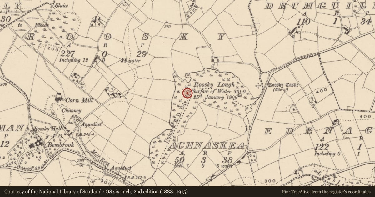 Ordnance Survey six-inch map, 2nd edition (1888–1915) covering the location of Crannog, Roosky (Dartree By., Killeevan Par.), County Monaghan, with a pin at the register's coordinates