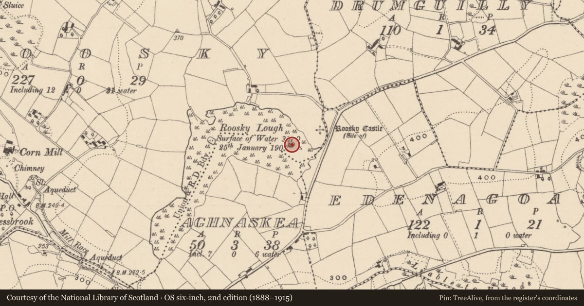 Ordnance Survey six-inch map, 2nd edition (1888–1915) covering the location of Crannog, Roosky (Dartree By., Killeevan Par.), County Monaghan, with a pin at the register's coordinates