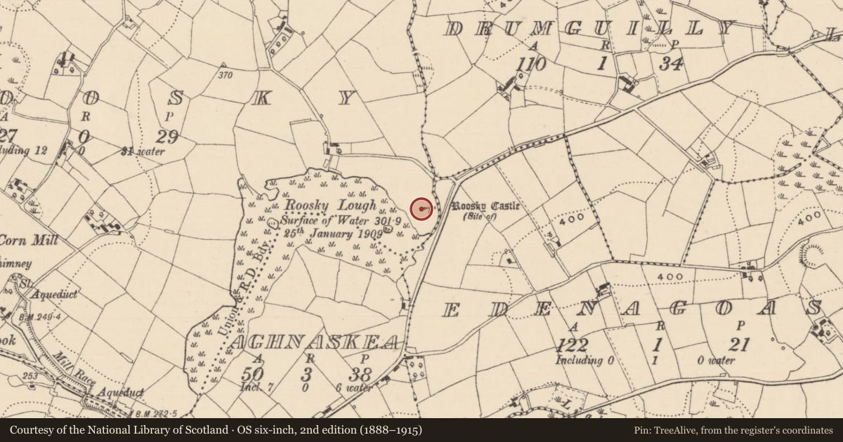 Ordnance Survey six-inch map, 2nd edition (1888–1915) covering the location of Castle - ringwork, Roosky (Dartree By., Killeevan Par.), County Monaghan, with a pin at the register's coordinates
