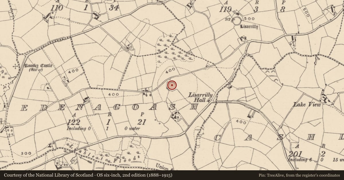 Ordnance Survey six-inch map, 2nd edition (1888–1915) covering the location of Ringfort - rath, Edenagoash, County Monaghan, with a pin at the register's coordinates