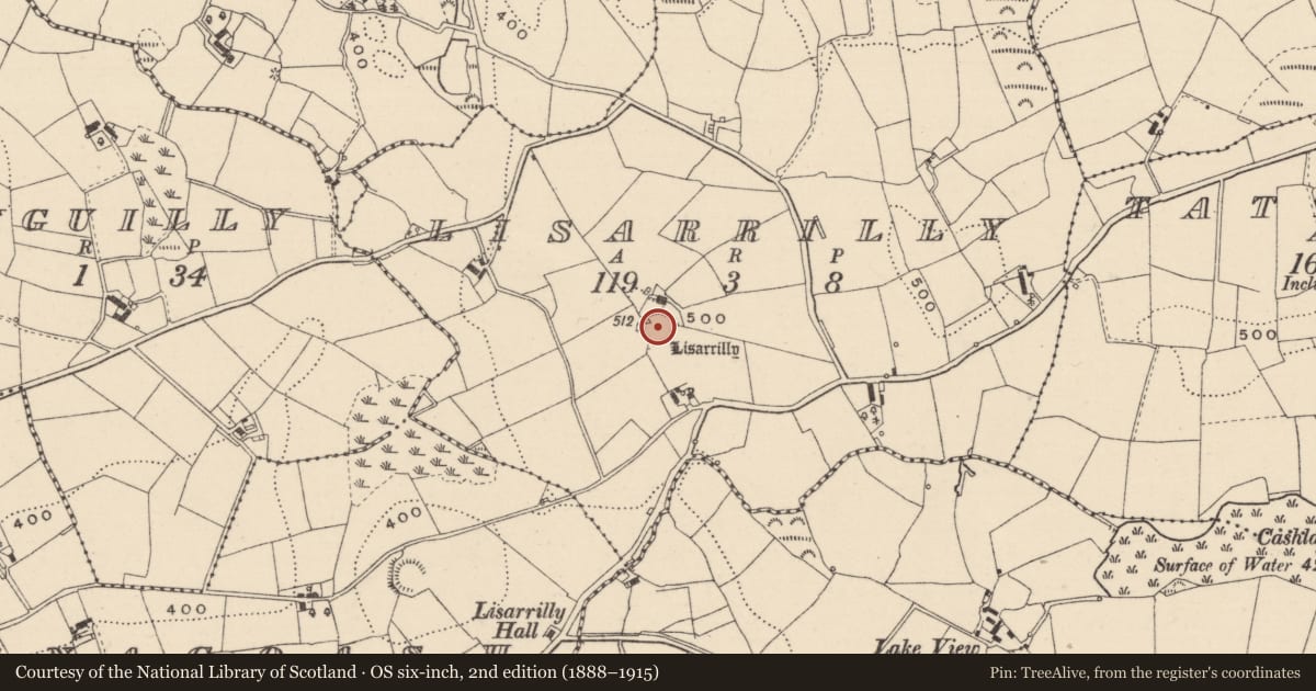 Ordnance Survey six-inch map, 2nd edition (1888–1915) covering the location of Ringfort - rath, Lisarrilly, County Monaghan, with a pin at the register's coordinates