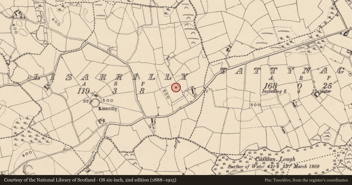 Ordnance Survey six-inch map, 2nd edition (1888–1915) covering the location of Ringfort - rath, Lisarrilly, County Monaghan, with a pin at the register's coordinates