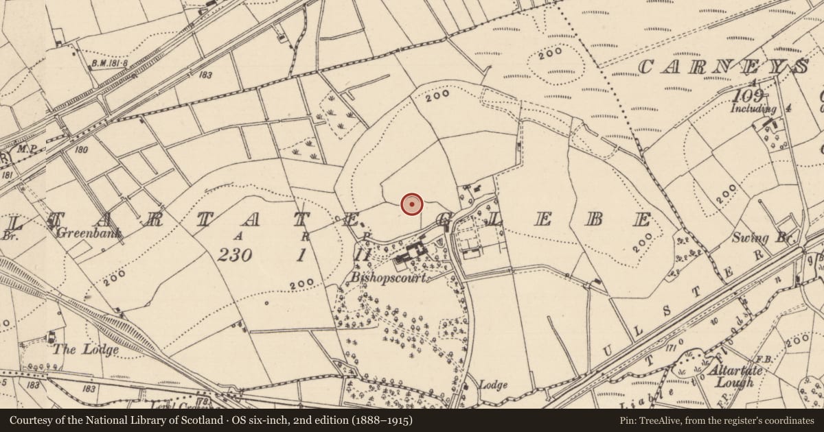 Ordnance Survey six-inch map, 2nd edition (1888–1915) covering the location of Ringfort - rath, Altartate Glebe, County Monaghan, with a pin at the register's coordinates