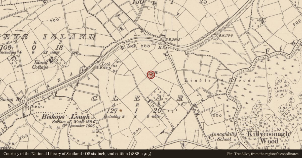 Ordnance Survey six-inch map, 2nd edition (1888–1915) covering the location of Ringfort - rath, Glear, County Monaghan, with a pin at the register's coordinates