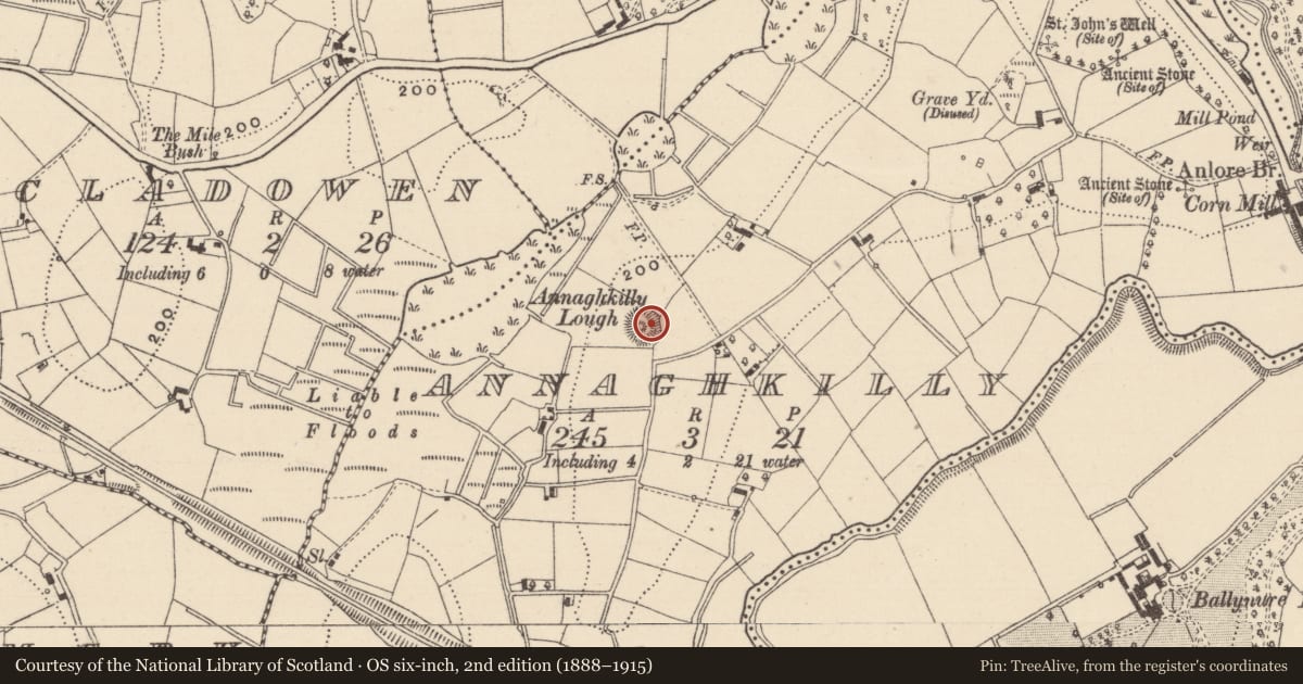 Ordnance Survey six-inch map, 2nd edition (1888–1915) covering the location of Ringfort - rath, Annaghkilly, County Monaghan, with a pin at the register's coordinates