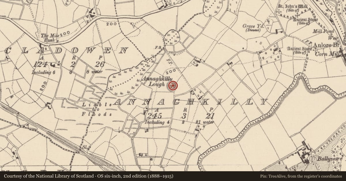 Ordnance Survey six-inch map, 2nd edition (1888–1915) covering the location of Souterrain, Annaghkilly, County Monaghan, with a pin at the register's coordinates