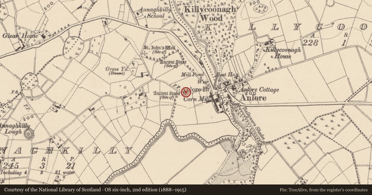 Ordnance Survey six-inch map, 2nd edition (1888–1915) covering the location of Standing stone, Annaghkilly, County Monaghan, with a pin at the register's coordinates