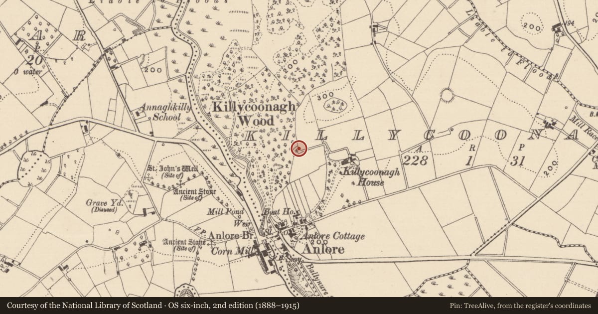 Ordnance Survey six-inch map, 2nd edition (1888–1915) covering the location of Ecclesiastical site, Killycoonagh, County Monaghan, with a pin at the register's coordinates