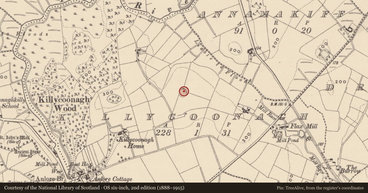 Ordnance Survey six-inch map, 2nd edition (1888–1915) covering the location of Ringfort - rath, Killycoonagh, County Monaghan, with a pin at the register's coordinates