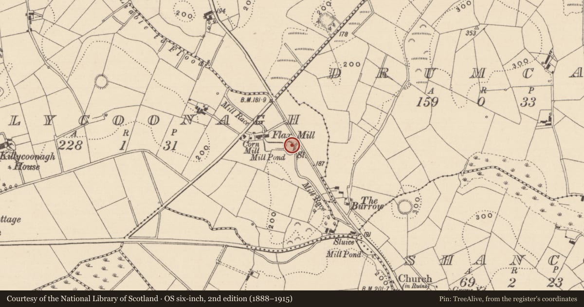 Ordnance Survey six-inch map, 2nd edition (1888–1915) covering the location of Ringfort - rath, Killycoonagh, County Monaghan, with a pin at the register's coordinates