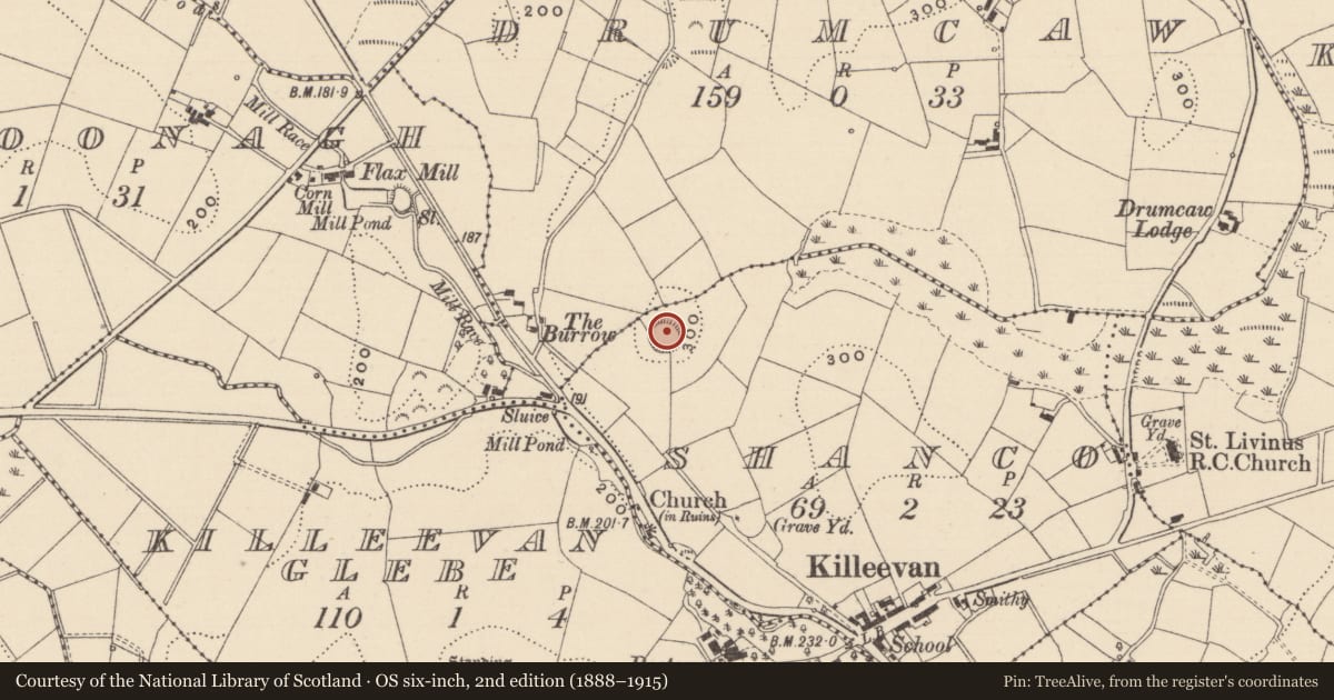 Ordnance Survey six-inch map, 2nd edition (1888–1915) covering the location of Ringfort - rath, Shanco (Dartree By., Killeevan Par.), County Monaghan, with a pin at the register's coordinates