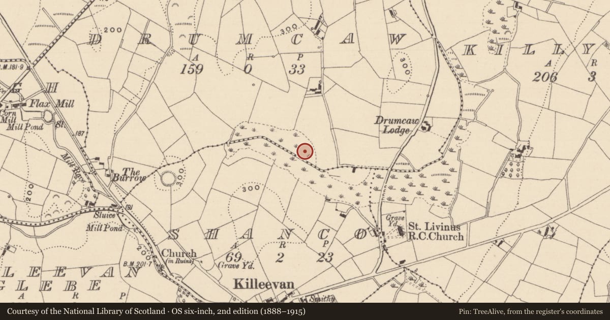 Ordnance Survey six-inch map, 2nd edition (1888–1915) covering the location of Crannog, Drumcaw, County Monaghan, with a pin at the register's coordinates