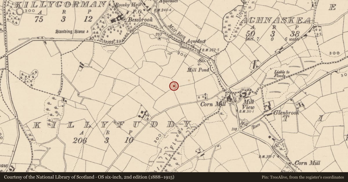 Ordnance Survey six-inch map, 2nd edition (1888–1915) covering the location of Ringfort - rath, Killyfuddy, County Monaghan, with a pin at the register's coordinates
