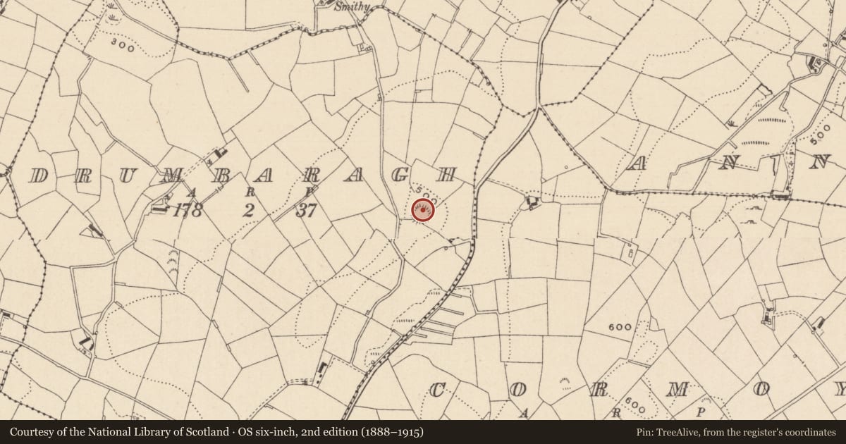 Ordnance Survey six-inch map, 2nd edition (1888–1915) covering the location of Ringfort - rath, Drumbaragh, County Monaghan, with a pin at the register's coordinates