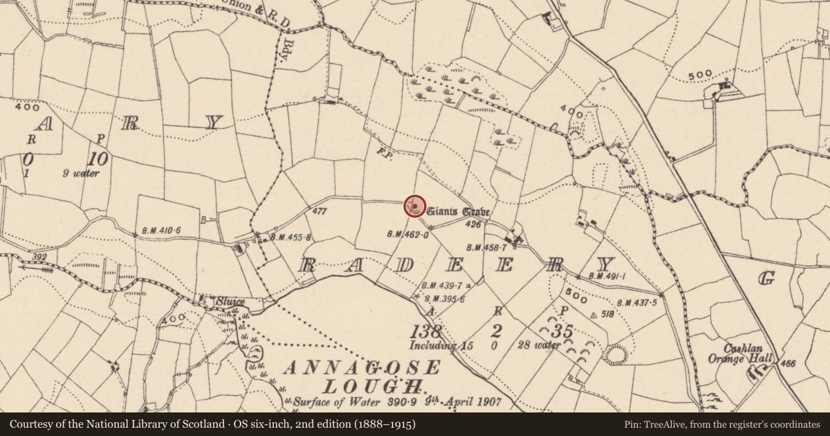 Ordnance Survey six-inch map, 2nd edition (1888–1915) covering the location of Megalithic tomb - wedge tomb, Radeery, County Monaghan, with a pin at the register's coordinates