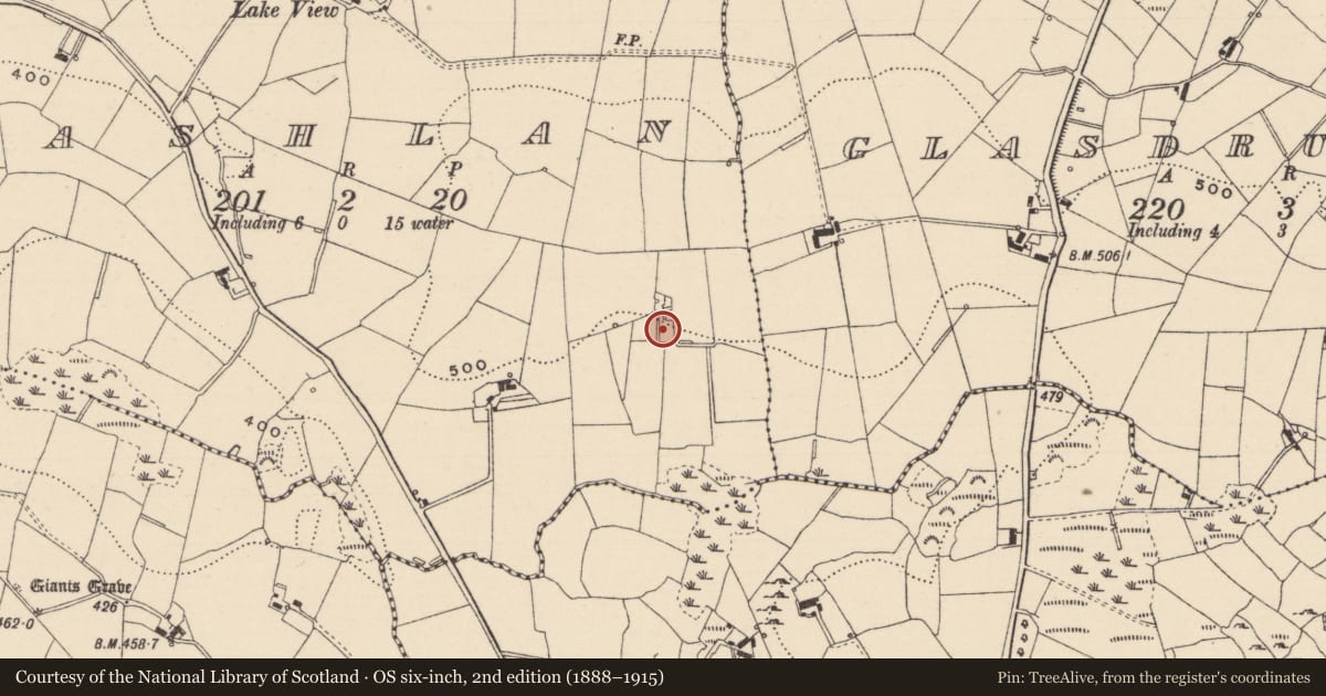 Ordnance Survey six-inch map, 2nd edition (1888–1915) covering the location of Megalithic tomb - court tomb, Cashlan, County Monaghan, with a pin at the register's coordinates