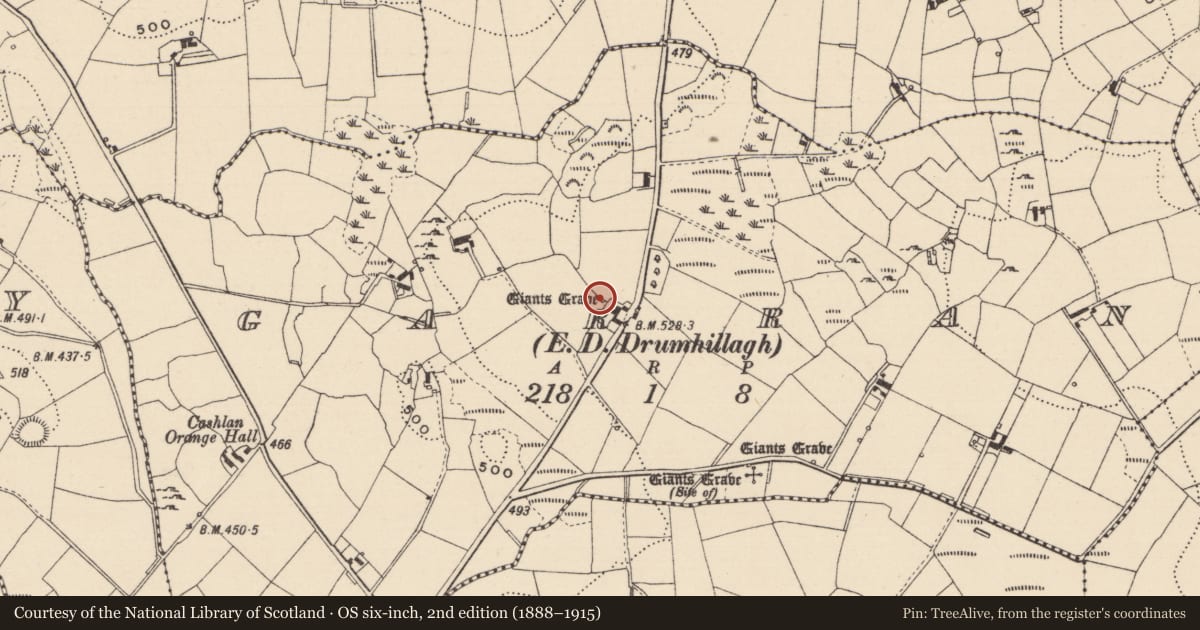 Ordnance Survey six-inch map, 2nd edition (1888–1915) covering the location of Megalithic tomb - portal tomb, Garran (Dartree By, County Monaghan, with a pin at the register's coordinates