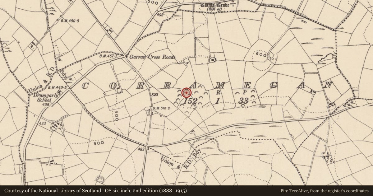 Ordnance Survey six-inch map, 2nd edition (1888–1915) covering the location of Ringfort - rath, Corramegan, County Monaghan, with a pin at the register's coordinates