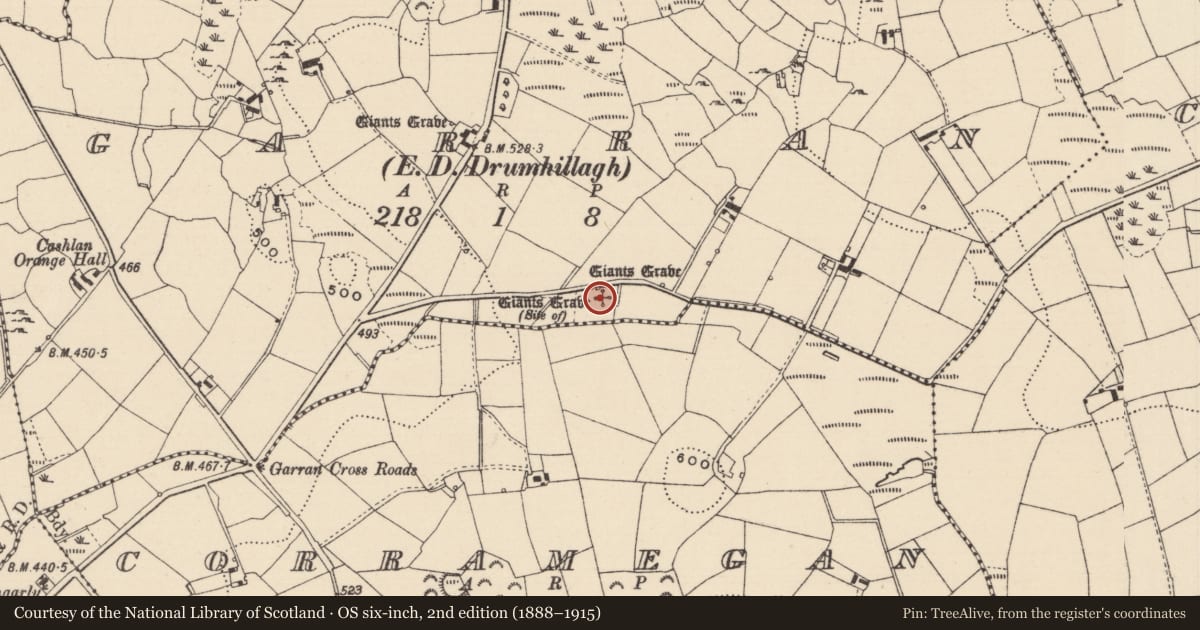 Ordnance Survey six-inch map, 2nd edition (1888–1915) covering the location of Megalithic tomb - court tomb, Garran (Dartree By, County Monaghan, with a pin at the register's coordinates