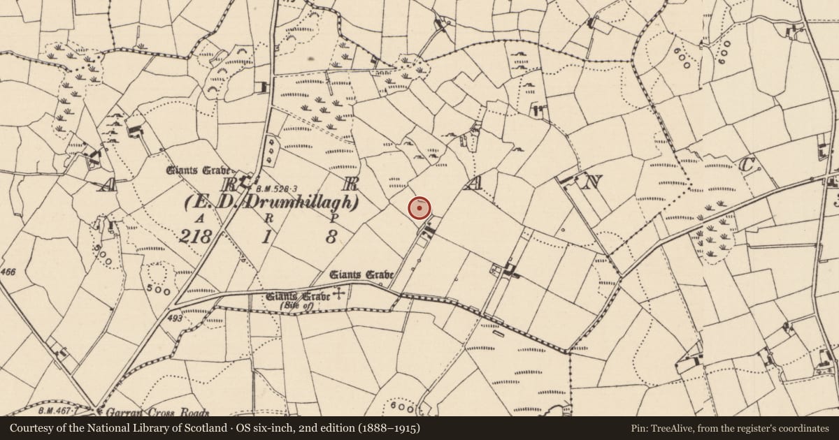 Ordnance Survey six-inch map, 2nd edition (1888–1915) covering the location of Ringfort - rath, Garran (Dartree By, County Monaghan, with a pin at the register's coordinates