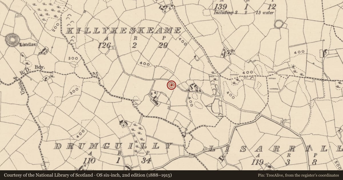 Ordnance Survey six-inch map, 2nd edition (1888–1915) covering the location of Enclosure, Killykeskeame, County Monaghan, with a pin at the register's coordinates
