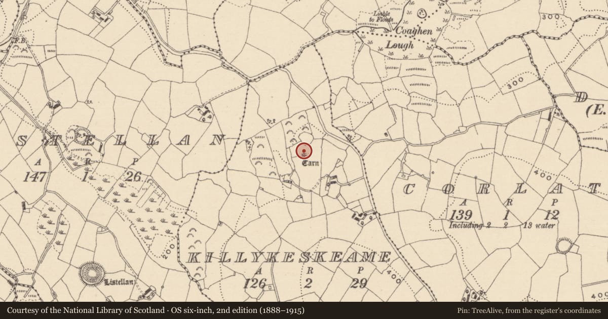 Ordnance Survey six-inch map, 2nd edition (1888–1915) covering the location of Cairn - unclassified, Killykeskeame, County Monaghan, with a pin at the register's coordinates