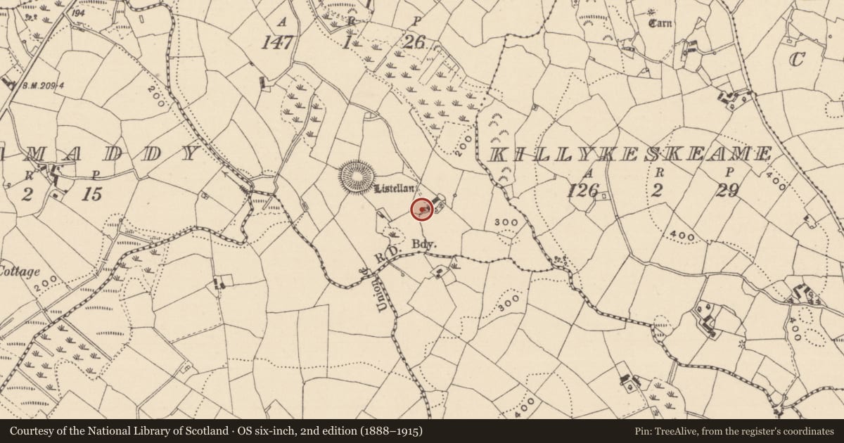Ordnance Survey six-inch map, 2nd edition (1888–1915) covering the location of Megalithic tomb - court tomb, Listellan, County Monaghan, with a pin at the register's coordinates