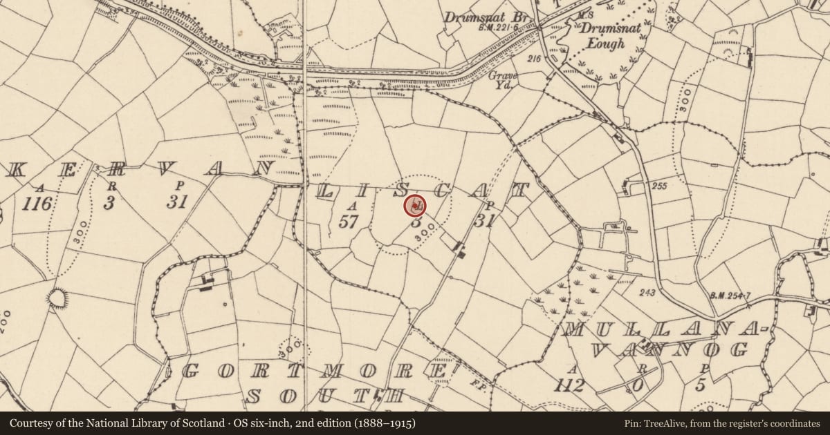 Ordnance Survey six-inch map, 2nd edition (1888–1915) covering the location of Ringfort - rath, Liscat, County Monaghan, with a pin at the register's coordinates