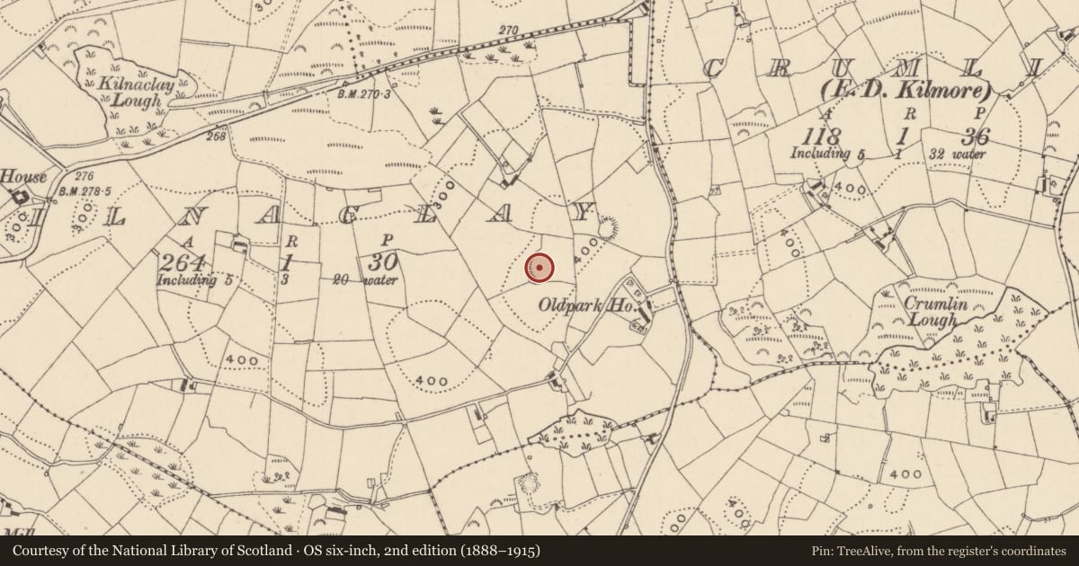 Ordnance Survey six-inch map, 2nd edition (1888–1915) covering the location of Ringfort - rath, Kilnaclay, County Monaghan, with a pin at the register's coordinates