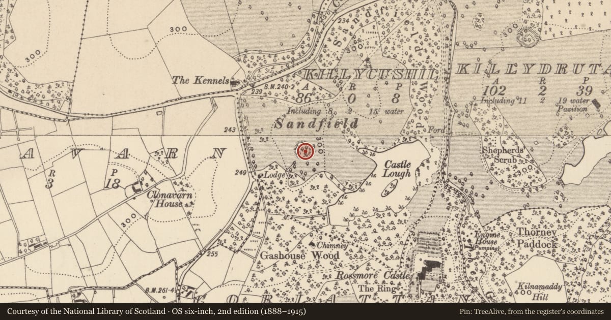 Ordnance Survey six-inch map, 2nd edition (1888–1915) covering the location of Ringfort - rath, Killycushil, County Monaghan, with a pin at the register's coordinates