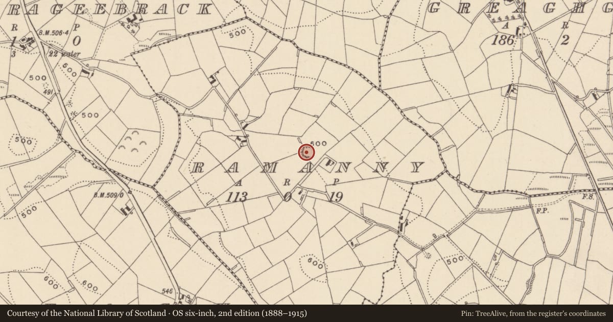 Ordnance Survey six-inch map, 2nd edition (1888–1915) covering the location of Ringfort - rath, Ramanny, County Monaghan, with a pin at the register's coordinates
