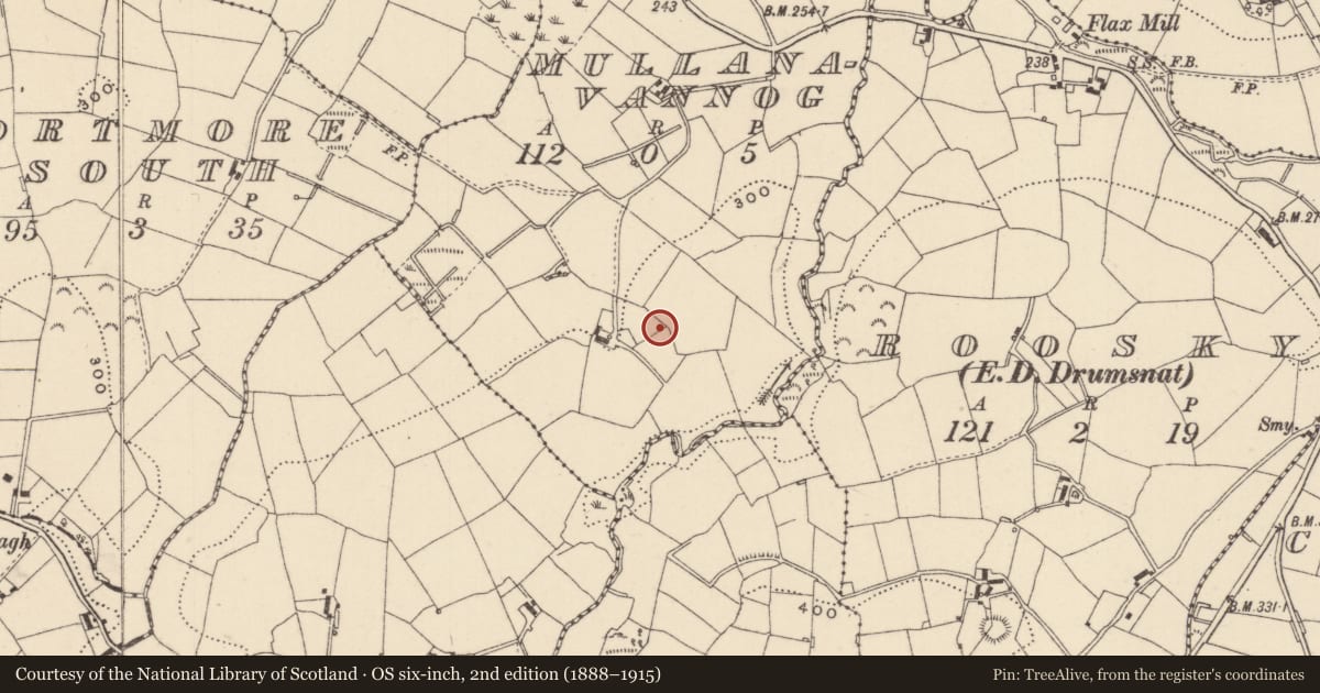 Ordnance Survey six-inch map, 2nd edition (1888–1915) covering the location of Ringfort - rath, Mullanavannog, County Monaghan, with a pin at the register's coordinates
