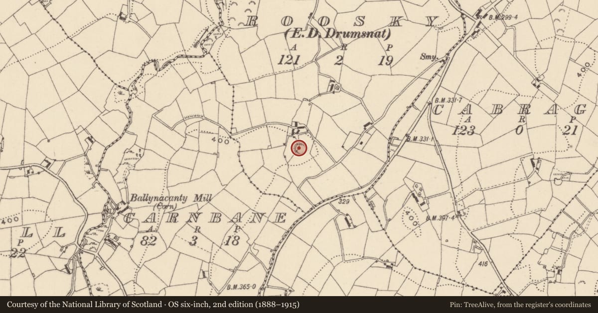 Ordnance Survey six-inch map, 2nd edition (1888–1915) covering the location of Ringfort - rath, Roosky (Monaghan By., Drumsnat Par.), County Monaghan, with a pin at the register's coordinates
