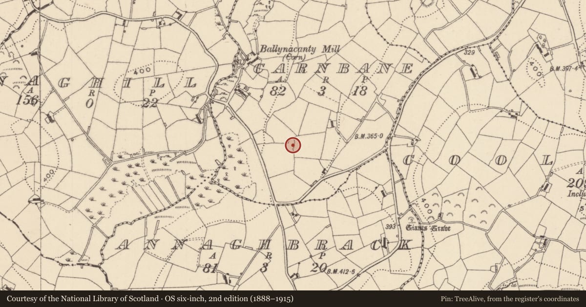 Ordnance Survey six-inch map, 2nd edition (1888–1915) covering the location of Megalithic tomb - court tomb, Carnbane, County Monaghan, with a pin at the register's coordinates