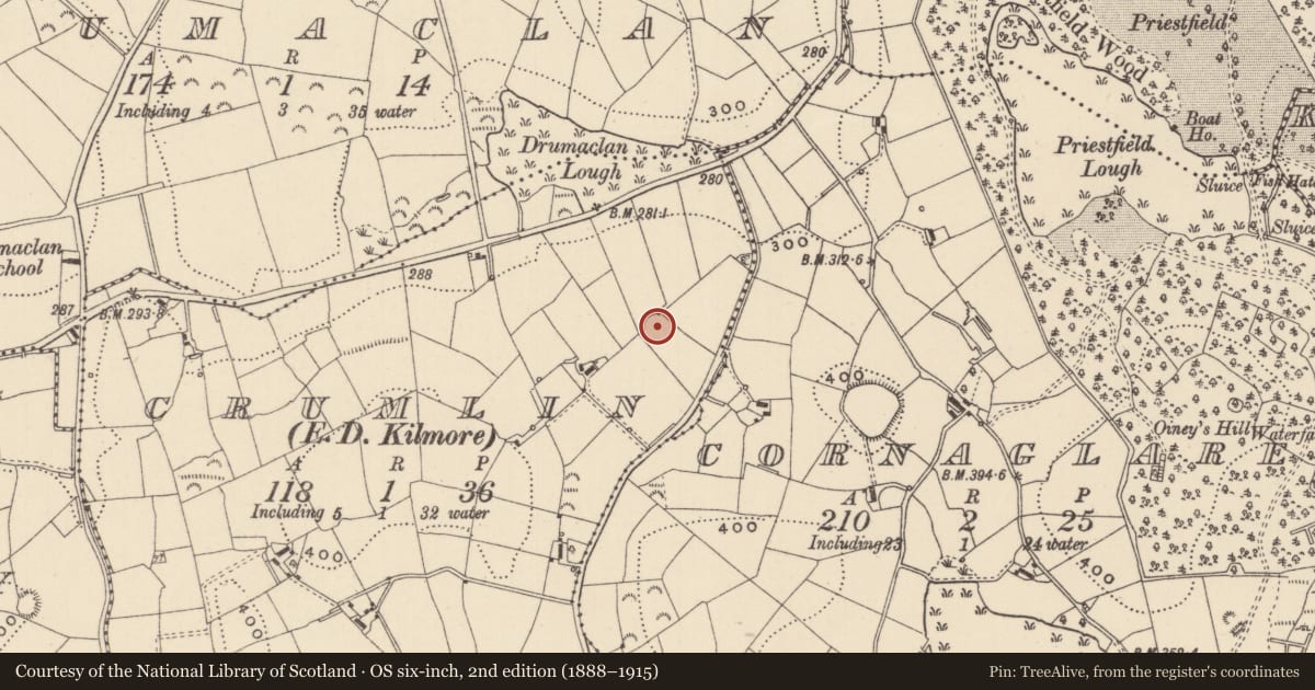 Ordnance Survey six-inch map, 2nd edition (1888–1915) covering the location of Ringfort - rath, Crumlin (Monaghan By., Kilmore Par.), County Monaghan, with a pin at the register's coordinates